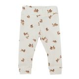 Legging Rabbits